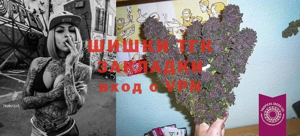 стаф Новозыбков