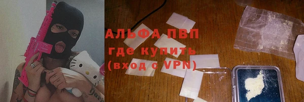 стаф Новозыбков