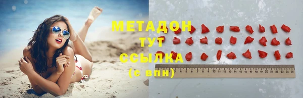 стаф Новозыбков