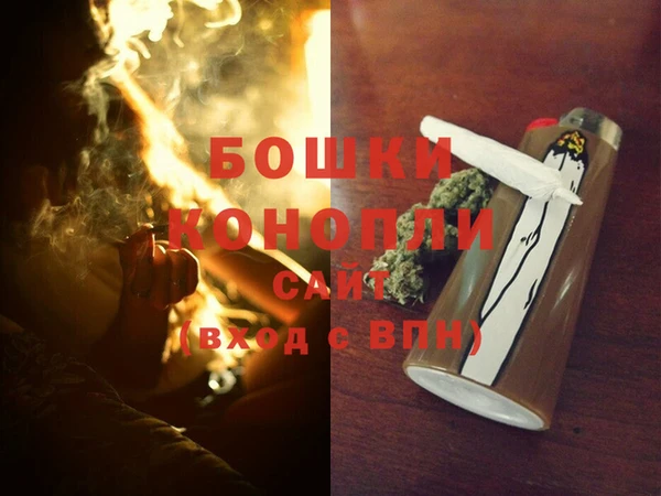 стаф Новозыбков